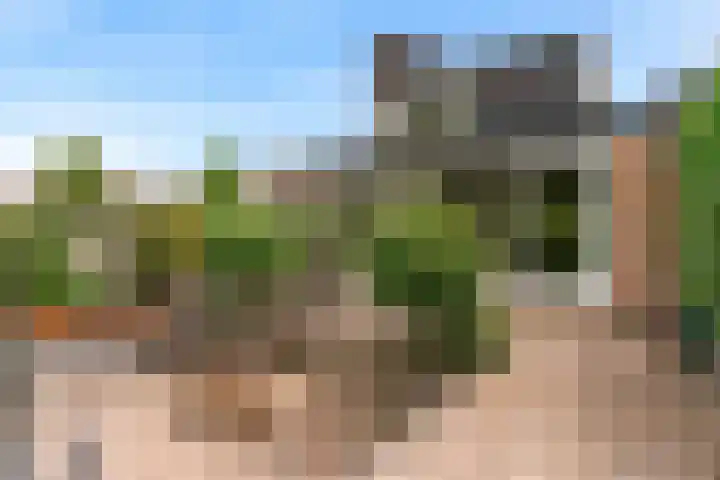 Schepenen 64 Hoorn thumbnail 45