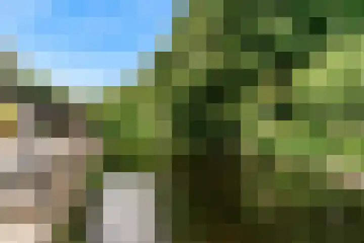 Schepenen 64 Hoorn thumbnail 46