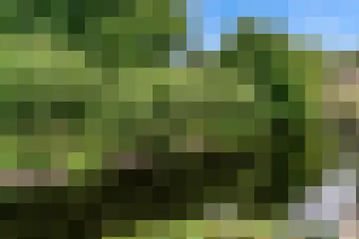 Schepenen 64 Hoorn thumbnail 47