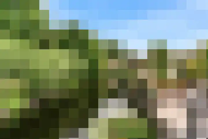 Schepenen 64 Hoorn thumbnail 48