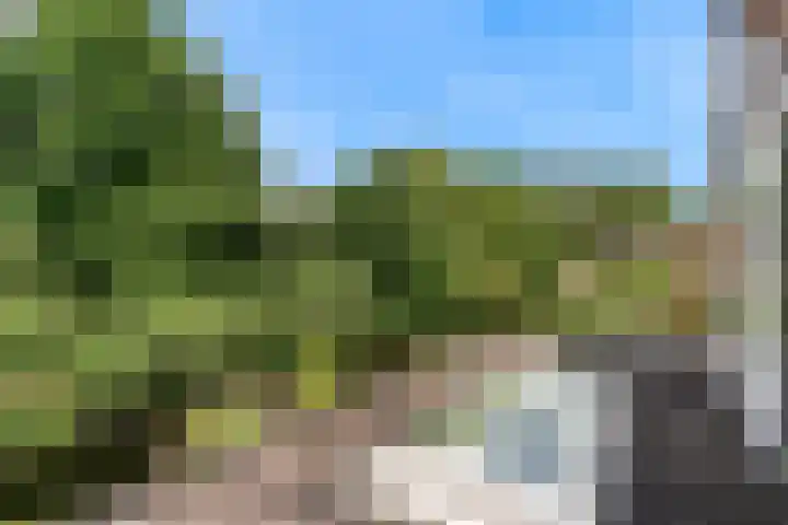 Schepenen 64 Hoorn thumbnail 49