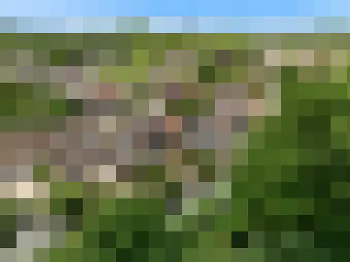 Schepenen 64 Hoorn thumbnail 53