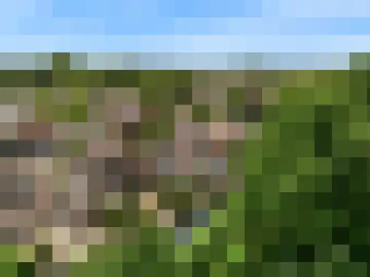 Schepenen 64 Hoorn thumbnail 55