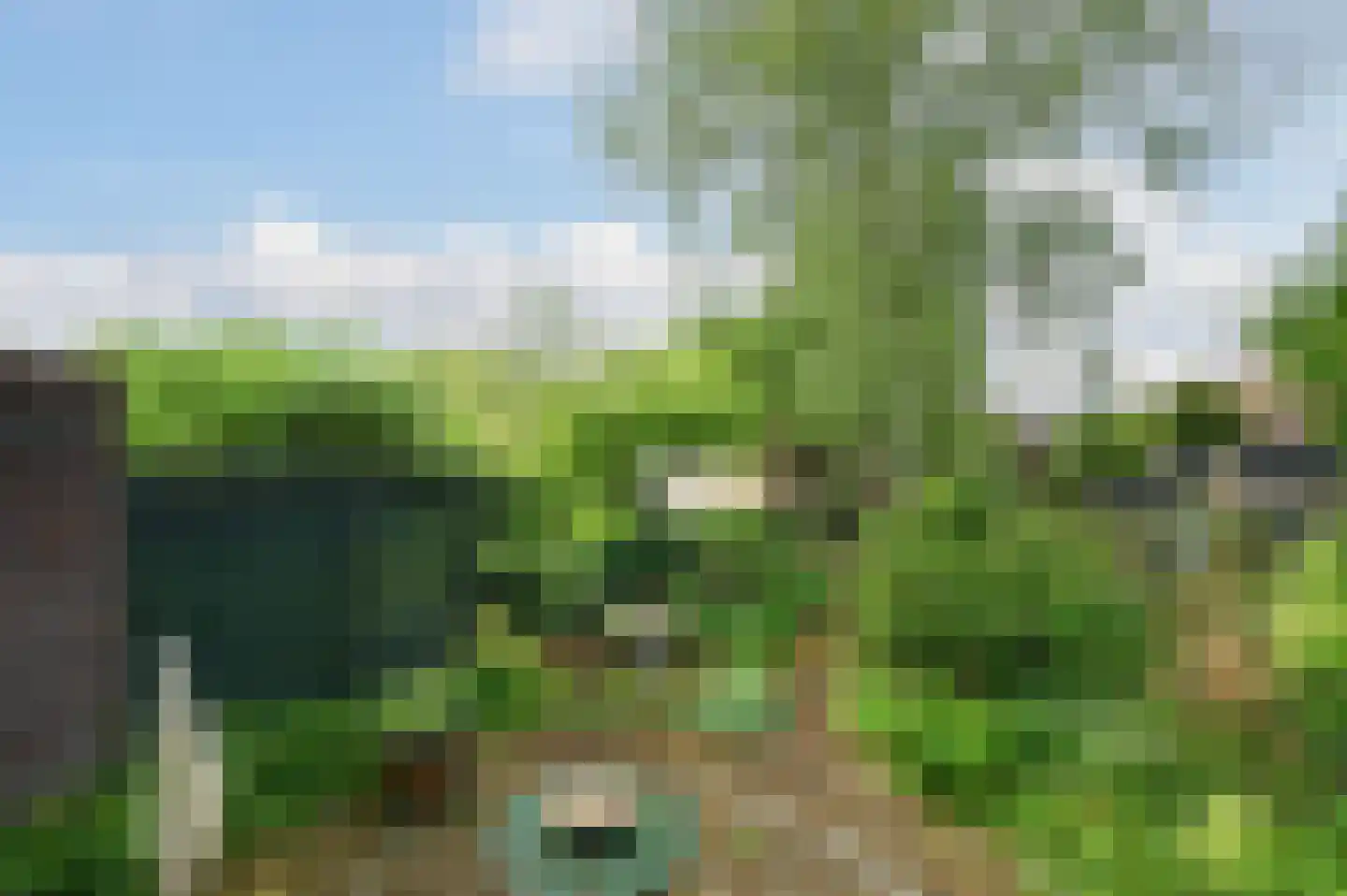Schepenen 80 Hoorn thumbnail 21