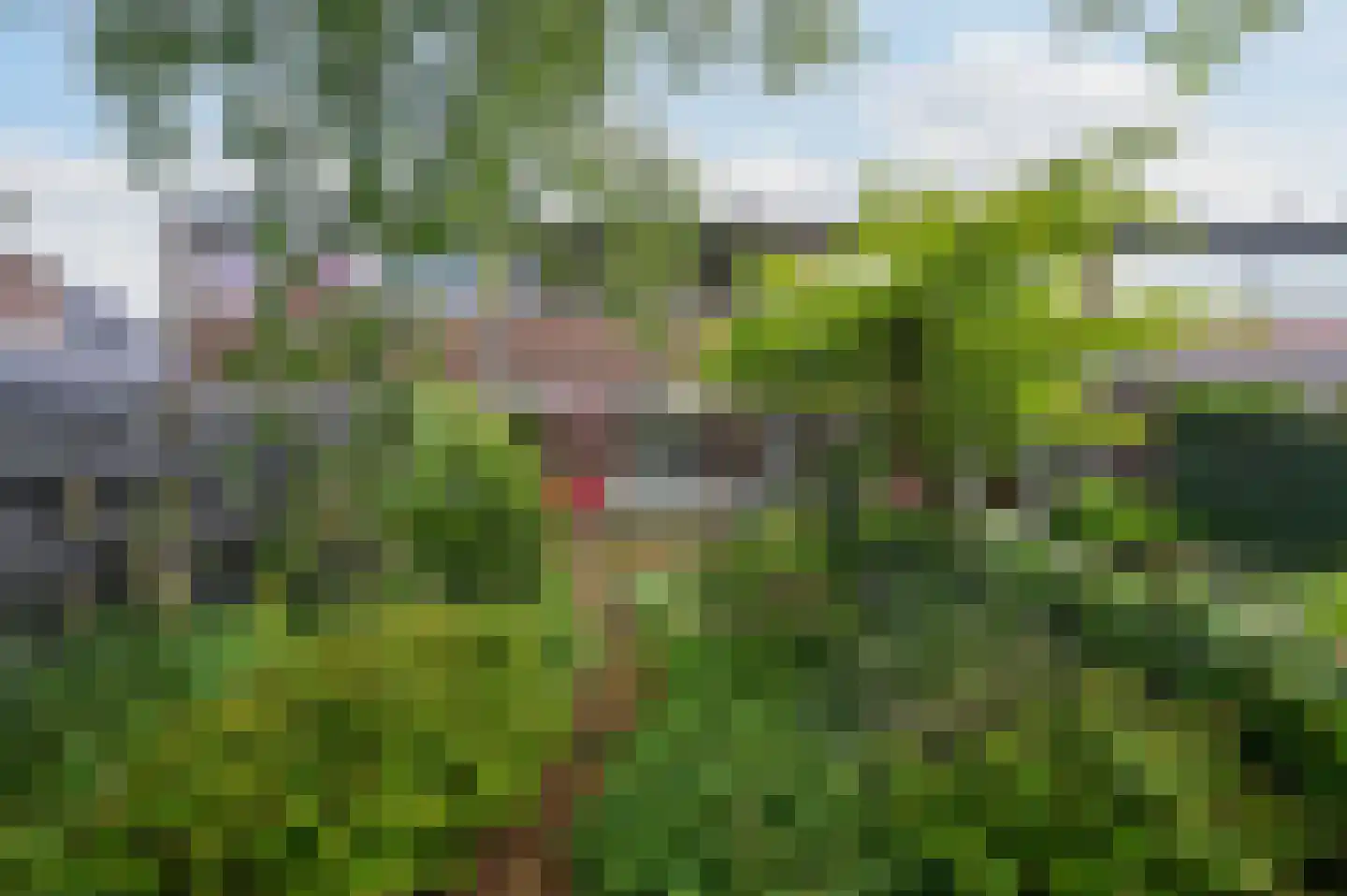 Schepenen 80 Hoorn thumbnail 22