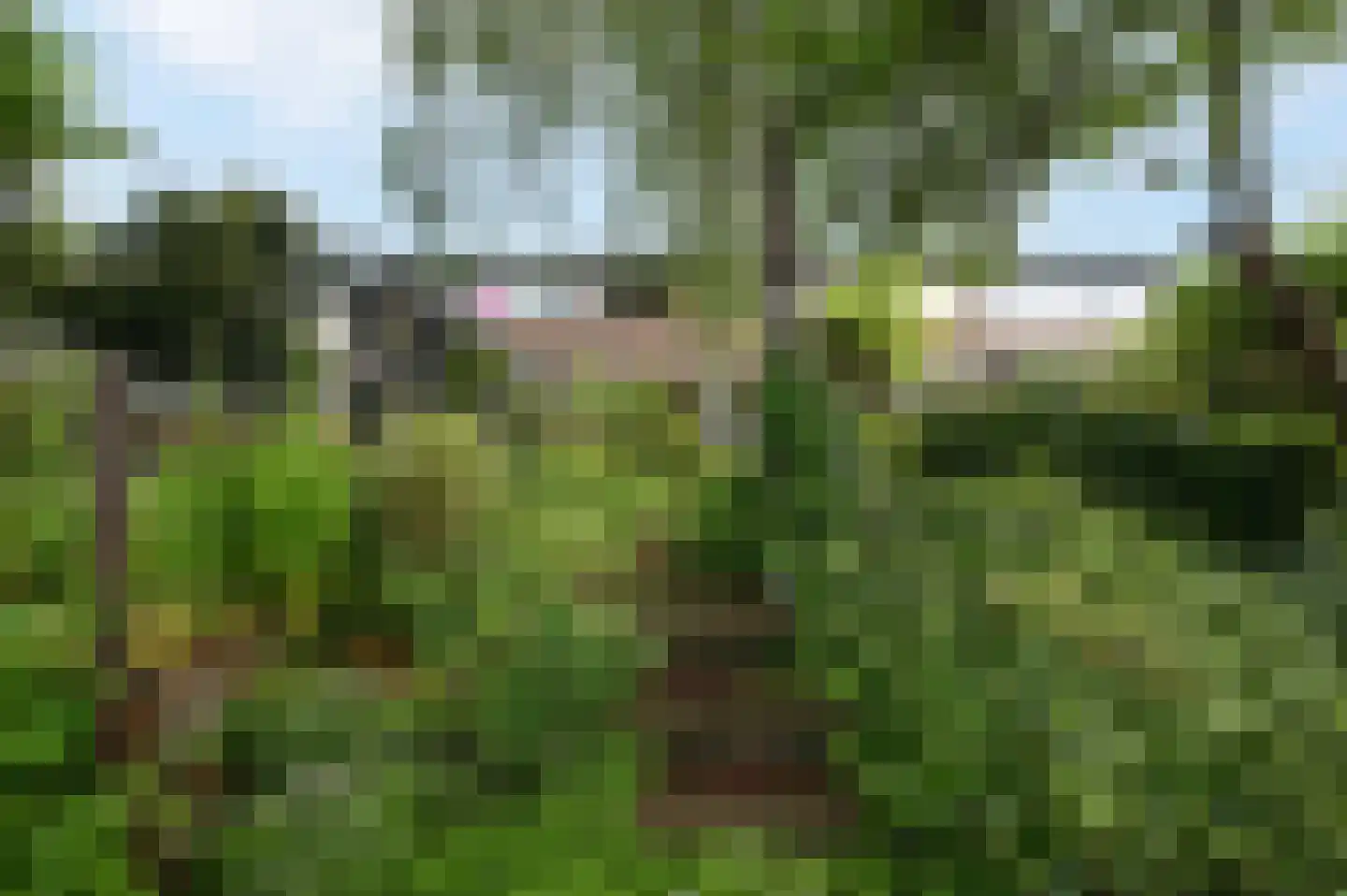 Schepenen 80 Hoorn thumbnail 24