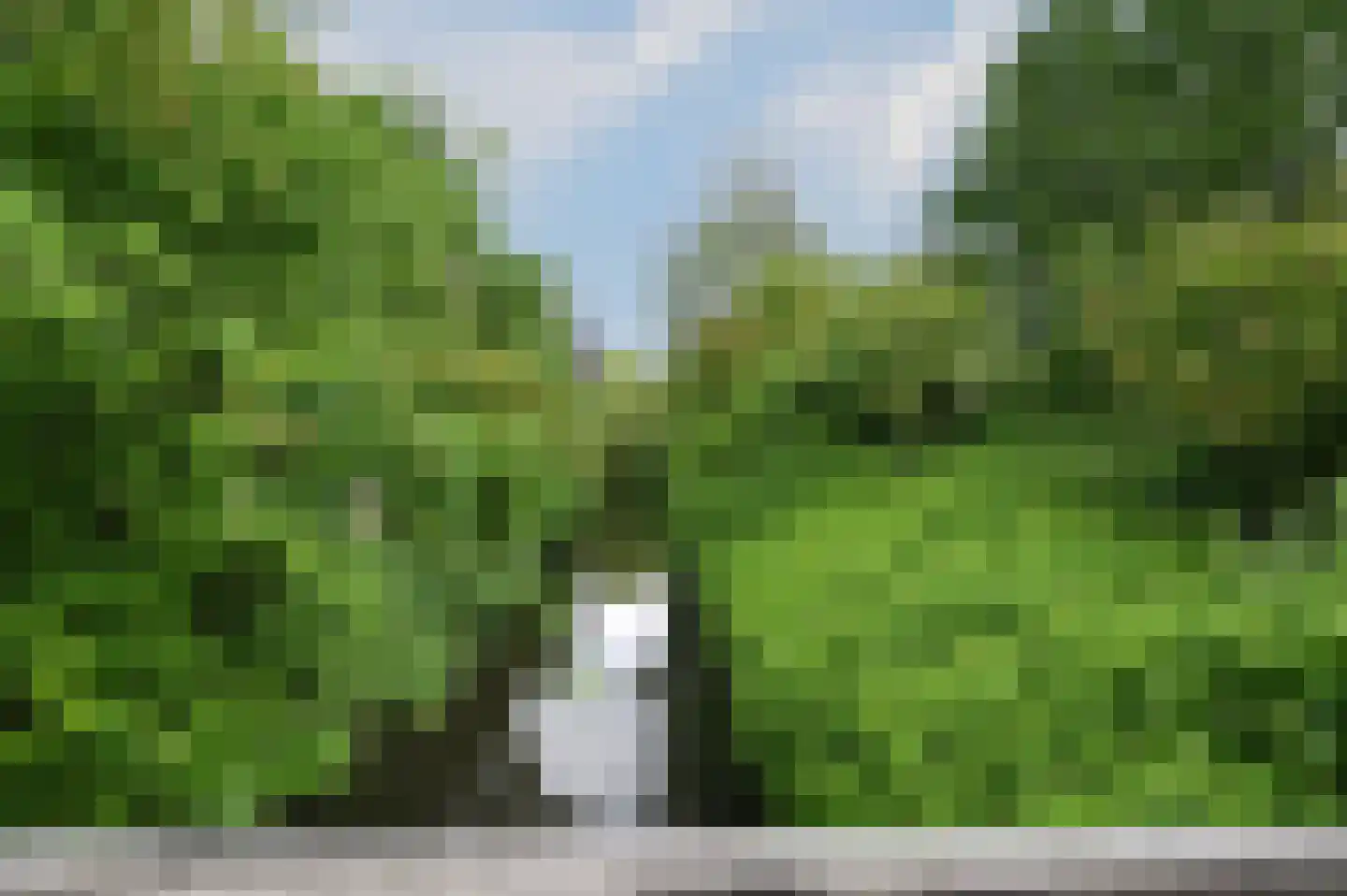 Schepenen 80 Hoorn thumbnail 25