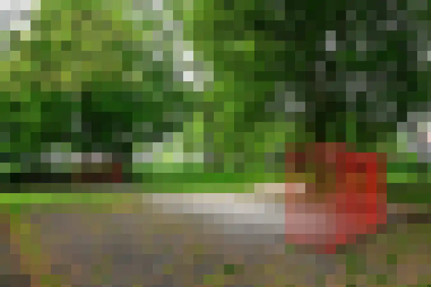 Schepenen 80 Hoorn thumbnail 26