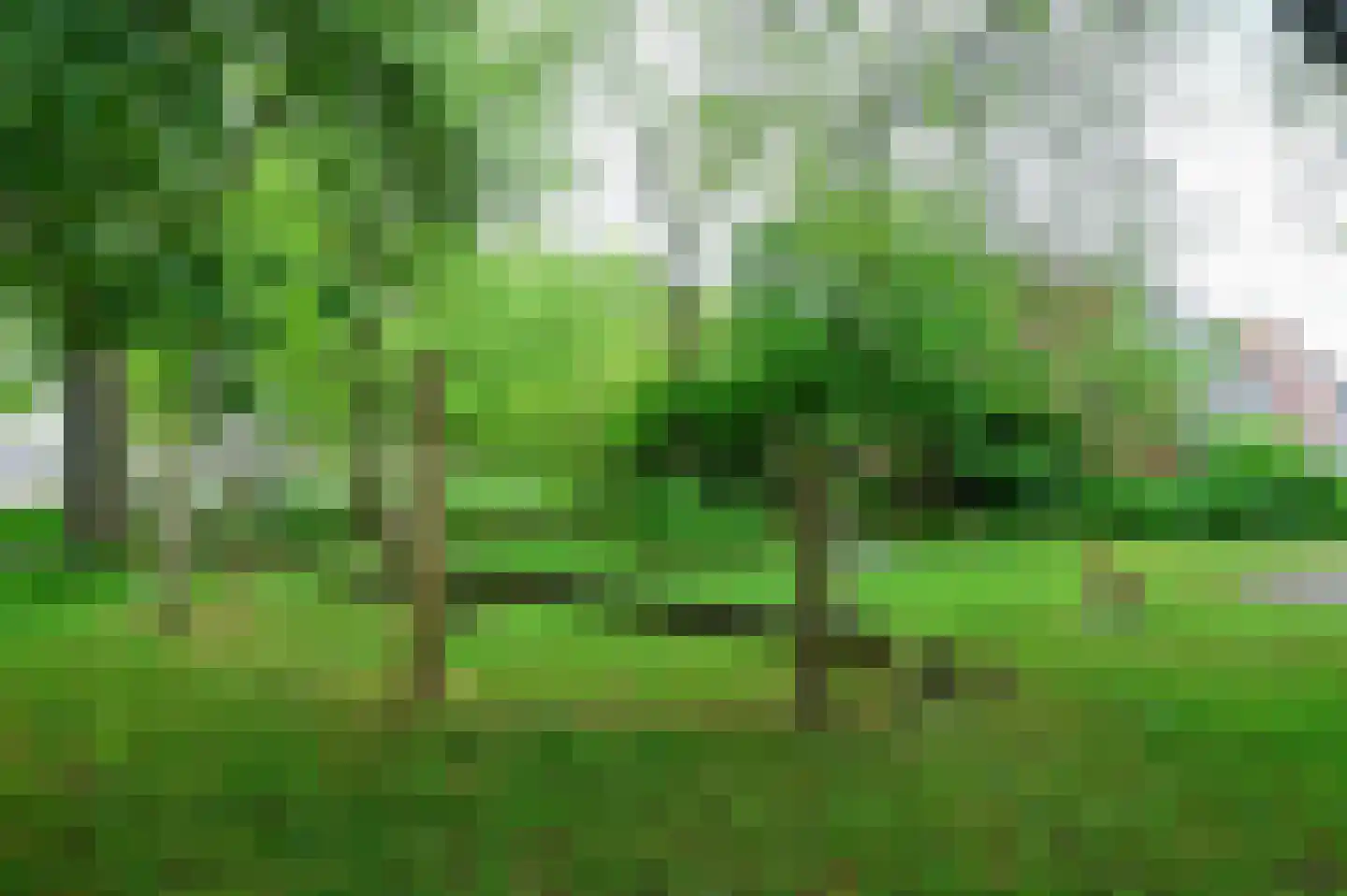 Schepenen 80 Hoorn thumbnail 27