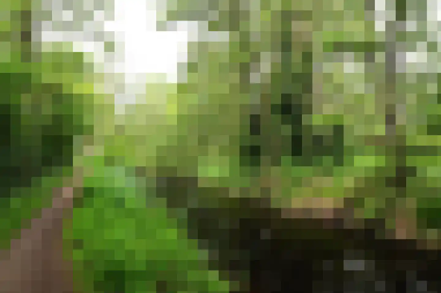 Schepenen 84 Naarden thumbnail 25