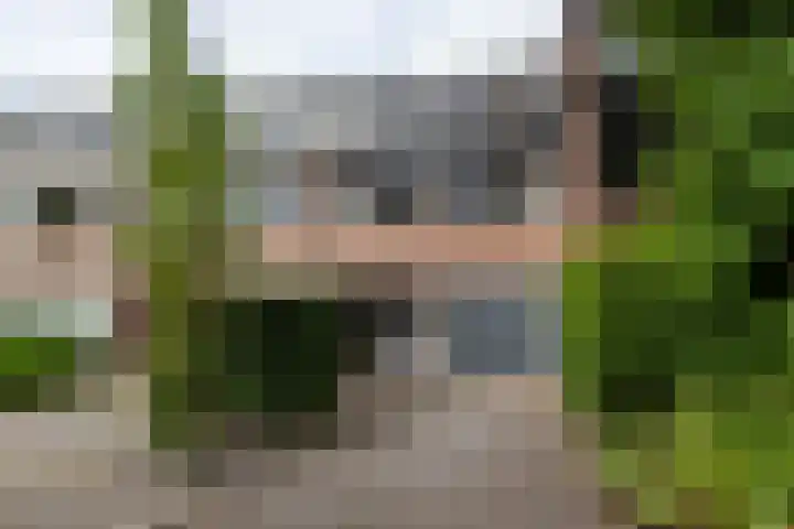 Schepenen 97 Hoorn thumbnail 14