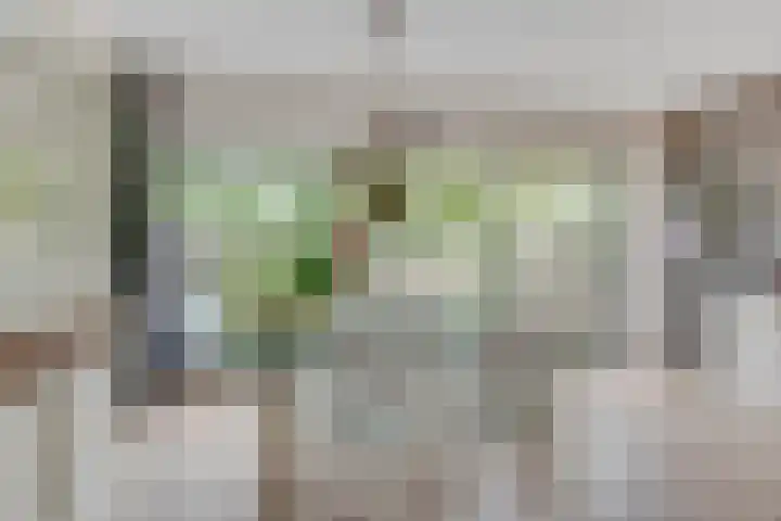 Schepenen 97 Hoorn thumbnail 23