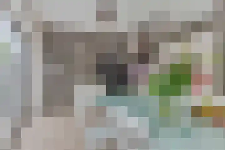 Schepenen 97 Hoorn thumbnail 24