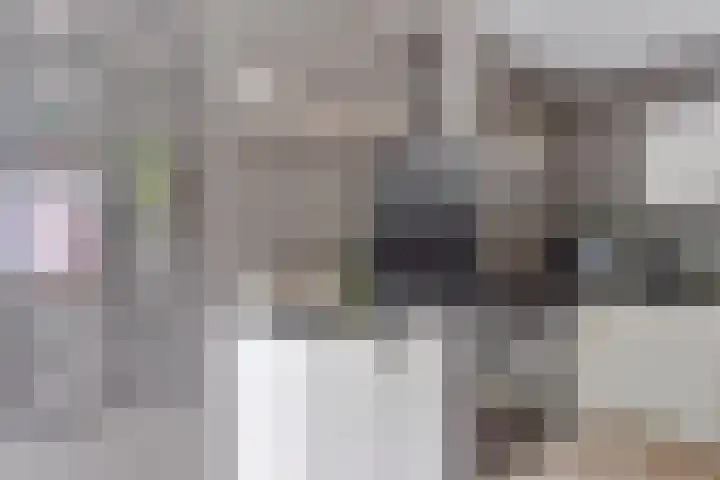 Schepenen 97 Hoorn thumbnail 31