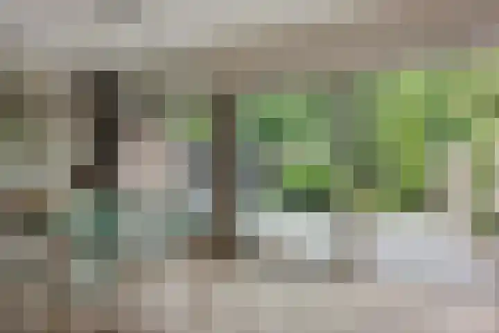 Schepenen 97 Hoorn thumbnail 32
