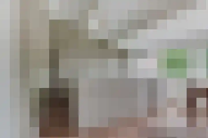 Schepenen 97 Hoorn thumbnail 37