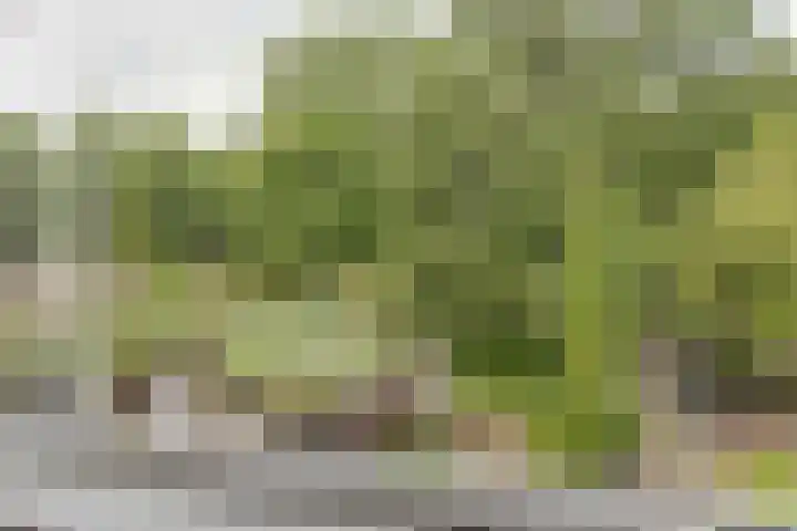 Schepenen 97 Hoorn thumbnail 40