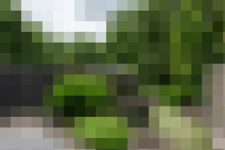Schepenen 97 Hoorn thumbnail 45