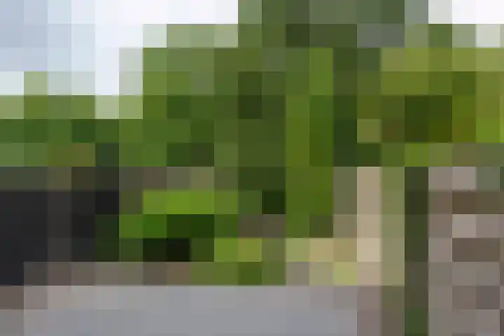 Schepenen 97 Hoorn thumbnail 46