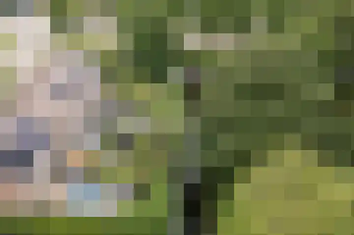 Schepenen 97 Hoorn thumbnail 5