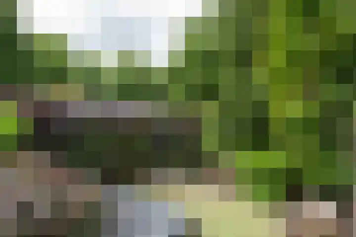 Schepenen 97 Hoorn thumbnail 51