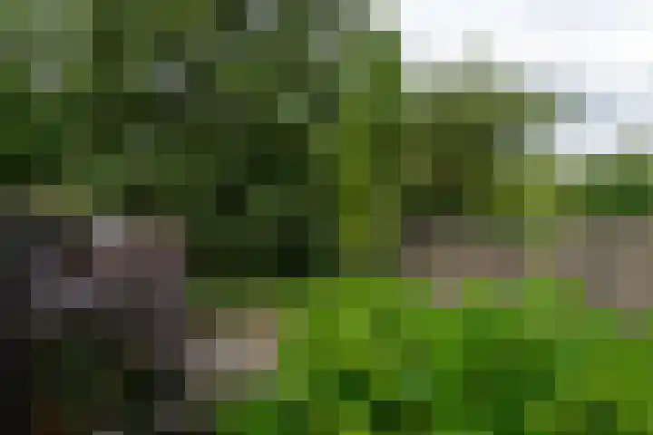 Schepenen 97 Hoorn thumbnail 52