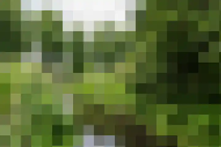 Schepenen 97 Hoorn thumbnail 53
