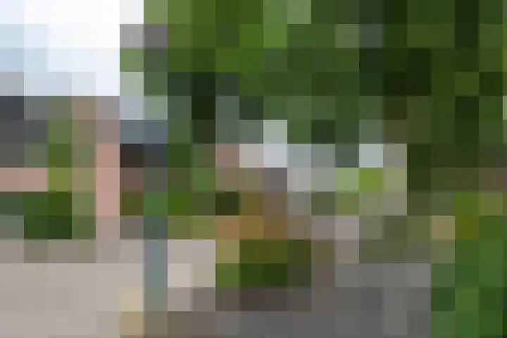 Schepenen 97 Hoorn thumbnail 56
