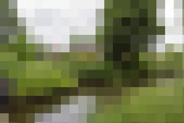 Schepenen 97 Hoorn thumbnail 57