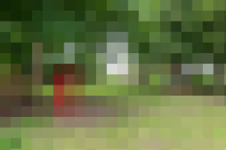 Schepenen 97 Hoorn thumbnail 58