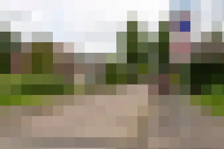Schepenen 97 Hoorn thumbnail 59