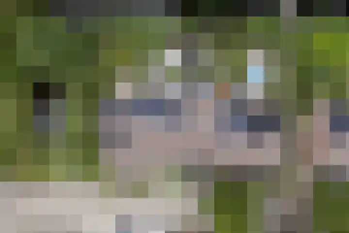 Schepenen 97 Hoorn thumbnail 6
