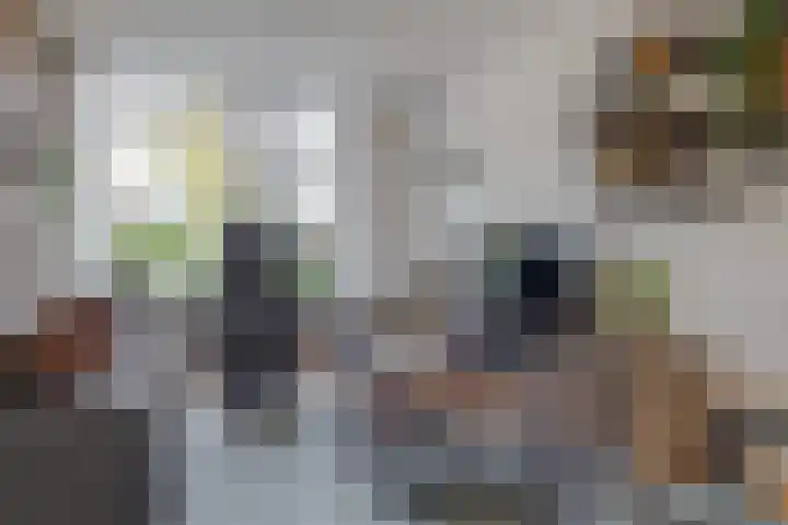 Schepenenlaan 20 Zwolle thumbnail 10