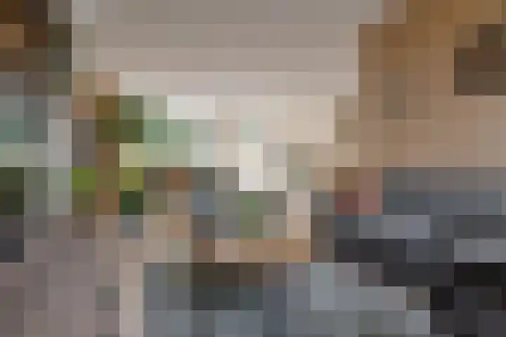 Schepenenlaan 20 Zwolle thumbnail 11
