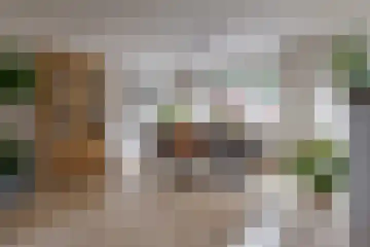 Schepenenlaan 20 Zwolle thumbnail 14