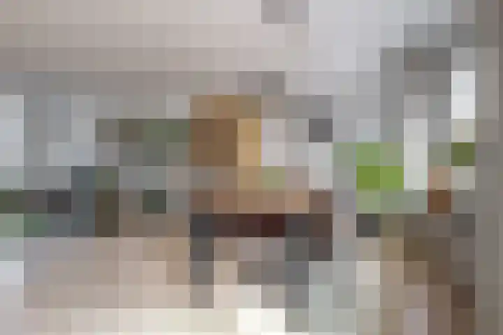 Schepenenlaan 20 Zwolle thumbnail 16