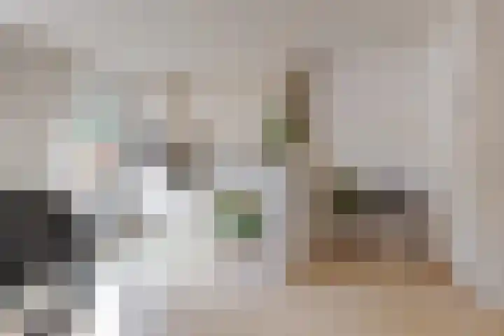 Schepenenlaan 20 Zwolle thumbnail 17