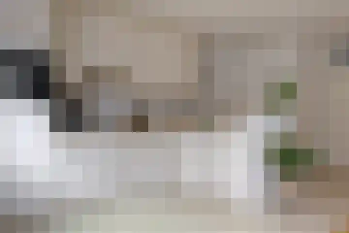 Schepenenlaan 20 Zwolle thumbnail 18
