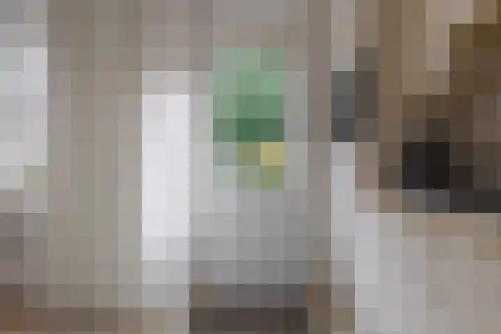 Schepenenlaan 20 Zwolle thumbnail 19
