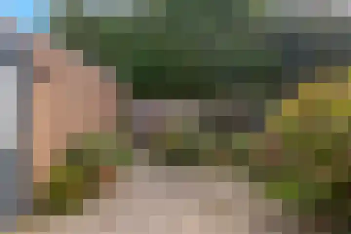 Schepenenlaan 20 Zwolle thumbnail 23