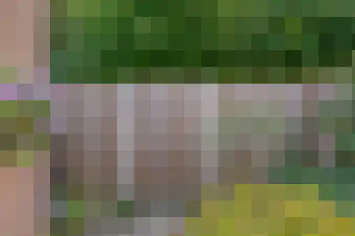 Schepenenlaan 20 Zwolle thumbnail 24