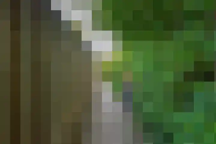 Schepenenlaan 20 Zwolle thumbnail 25