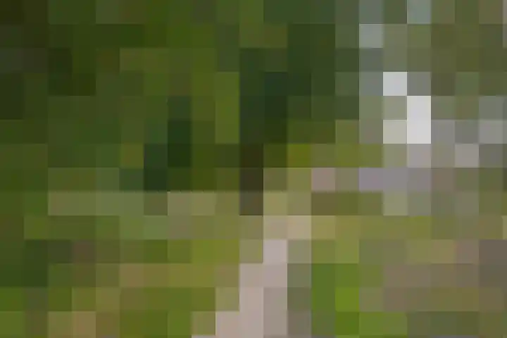Schepenenlaan 20 Zwolle thumbnail 26