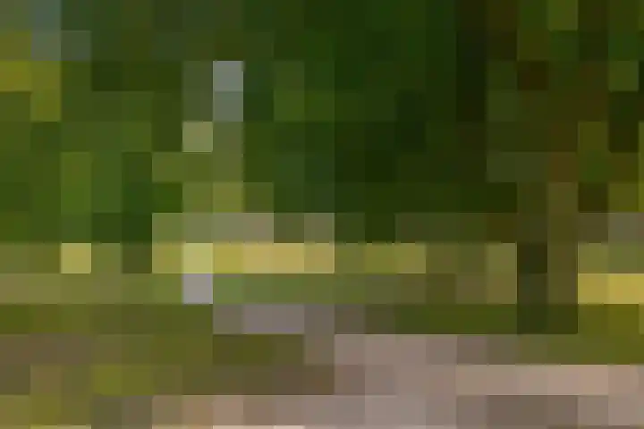 Schepenenlaan 20 Zwolle thumbnail 27