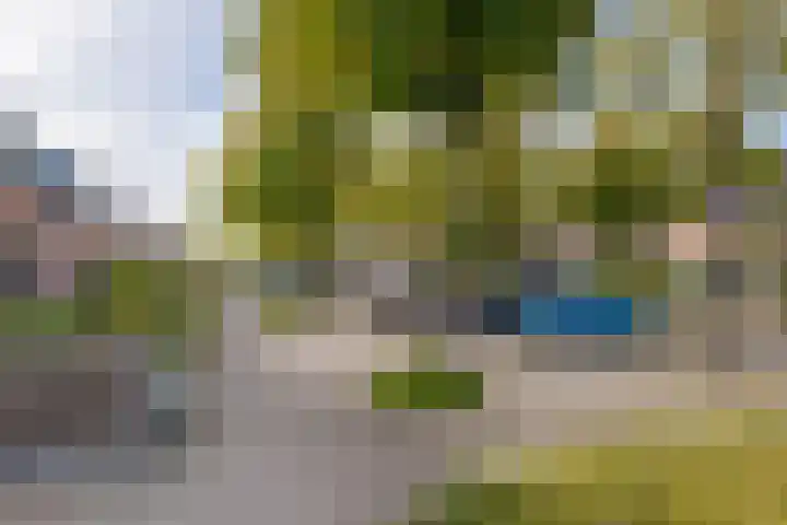 Schepenenlaan 20 Zwolle thumbnail 39