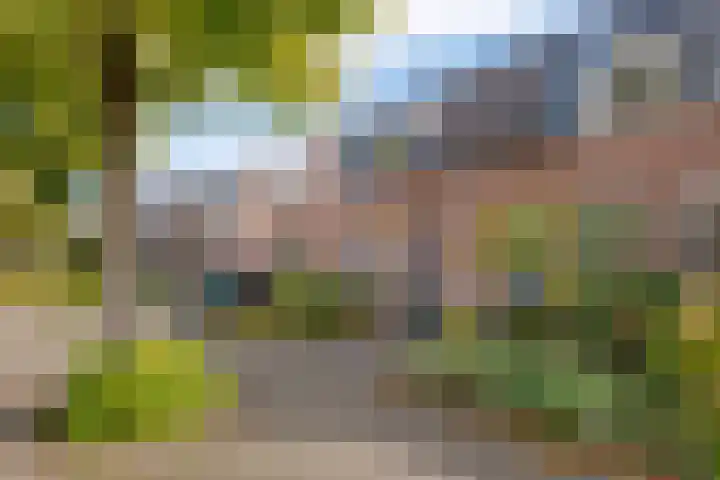 Schepenenlaan 20 Zwolle thumbnail 40