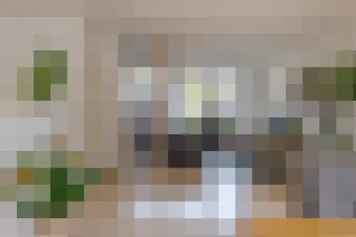 Schepenenlaan 20 Zwolle thumbnail 8