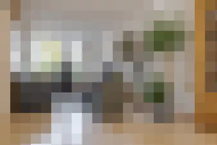 Schepenenlaan 20 Zwolle thumbnail 9