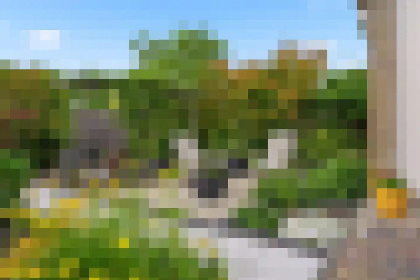 Schepenenlaan 226 Middelburg thumbnail 36