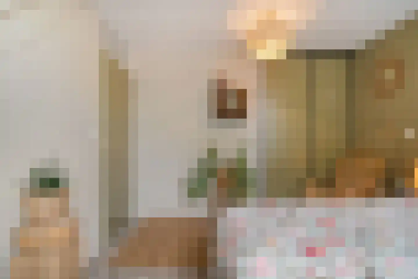 Schepenenlaan 29 Zwolle thumbnail 21